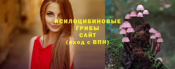 тгк Аркадак
