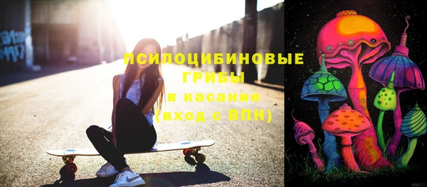 стафф Алексин
