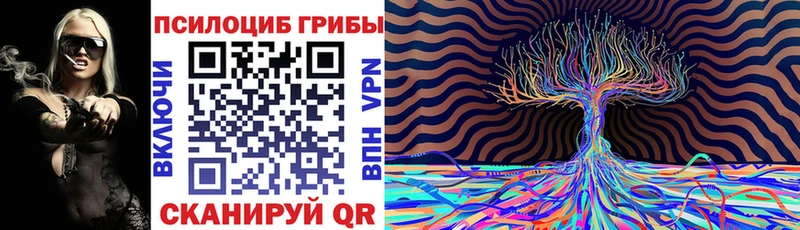 сколько стоит  Южно-Сухокумск  Псилоцибиновые грибы Magic Shrooms 